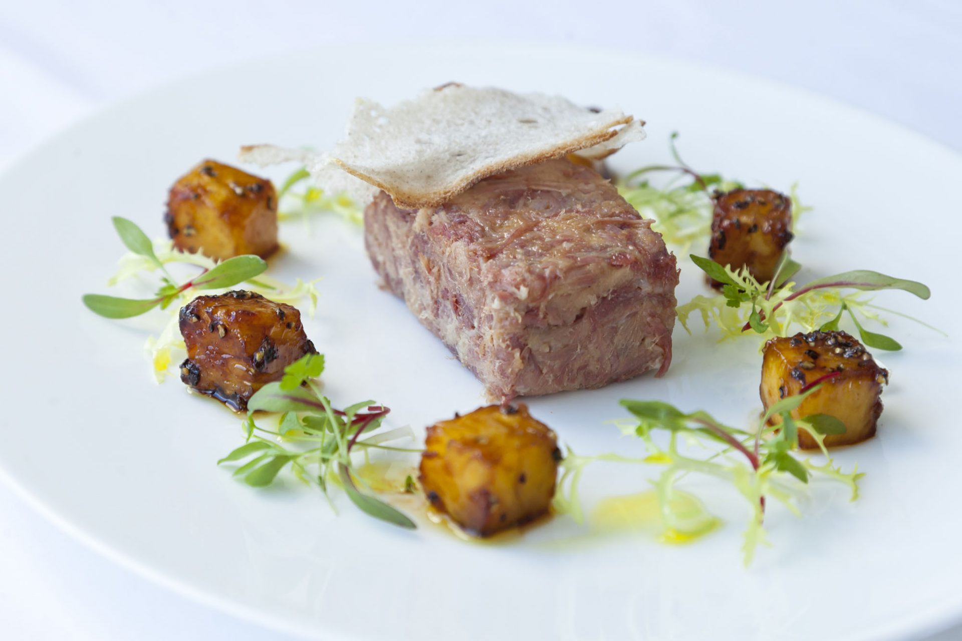 Potted gammon in centre of white plate with accompaniments